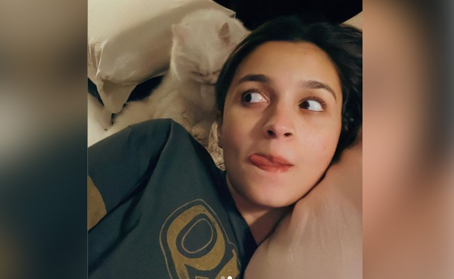 Mom-To-Be Alia Bhatt Is "Spending Diwali In Bed" This Year. Here's What She Posted