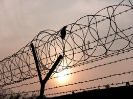Finland Plans Fence On Russia Border, First Since Fall Of Iron Curtain Finland Plans Fence On Russia Border, First Since Fall Of Iron Curtain