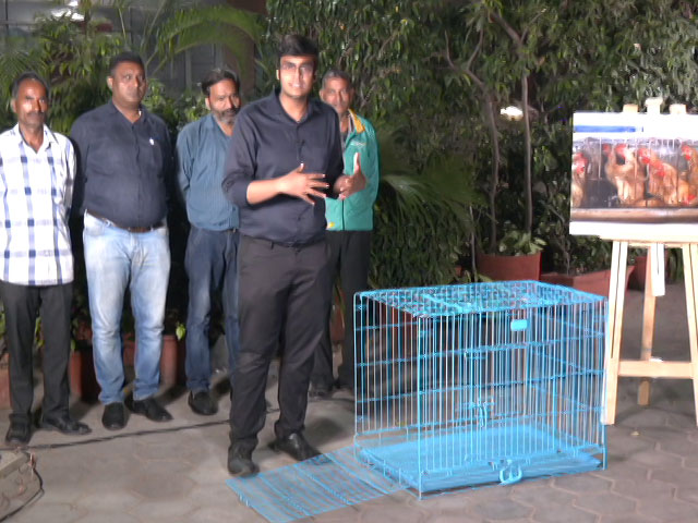 A Look At The Life Of Caged Animals