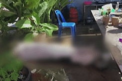 34 Killed In Thailand Day-Care Shooting, Gunman Then Kills Family, Self 34 Killed In Thailand Day-Care Shooting, Gunman Then Kills Family, Self