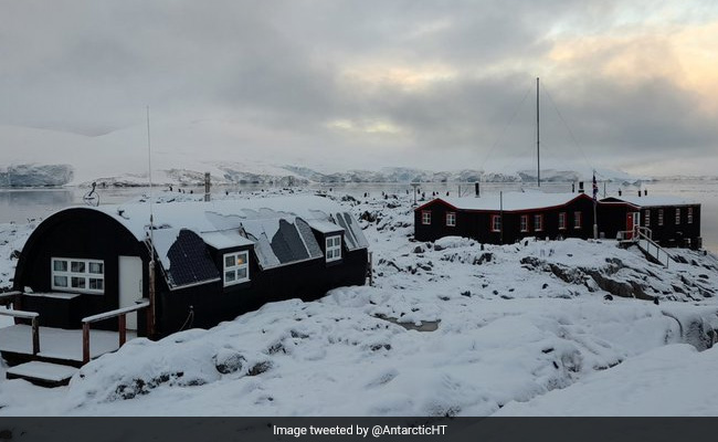 "Job Like No Other": Recruits Wanted For Counting Penguins In Antarctica