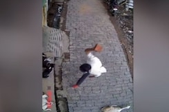 Upset Over Barking, Man Kills Stray Dog In UP Upset Over Barking, Man Kills Stray Dog In UP