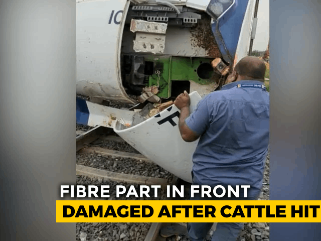 Watch: Semi-High Speed Train Damaged After Hitting Buffalo Herd In Gujarat