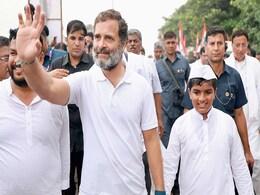 Stop Yatra Now, Go To Himachal, Gujarat: Congress Leader To Rahul Gandhi Stop Yatra Now, Go To Himachal, Gujarat: Congress Leader To Rahul Gandhi