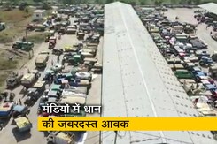 मध्य प्रदेश की मंडियों में धान की जबरदस्त आवक, MSP पर 25 नवंबर से होगी खरीद  मध्य प्रदेश की मंडियों में धान की जबरदस्त आवक, MSP पर 25 नवंबर से होगी खरीद