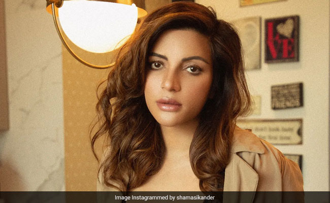 Shama Sikander Gives Her Tan Blazer A Sultry Touch With A Striking Black Lace Bralette