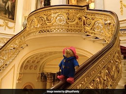 Paddington Bears Pictured Around Royal Palaces Ahead Of Queen Consort Camilla Donating Tributes To Charity Paddington Bears Pictured Around Royal Palaces Ahead Of Queen Consort Camilla Donating Tributes To Charity