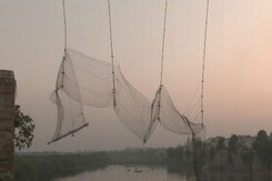 "Largesse Of State...": Court's Strong Remarks On Gujarat Bridge Tragedy "Largesse Of State...": Court's Strong Remarks On Gujarat Bridge Tragedy