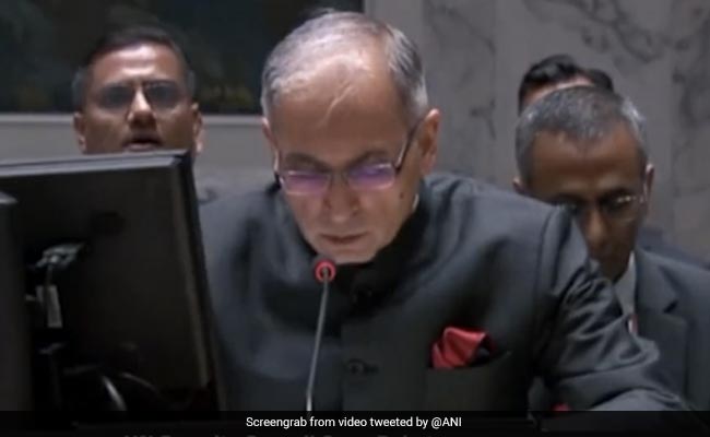 "Call Out Those" Who Provide Safe Havens To Terrorists: India At UN