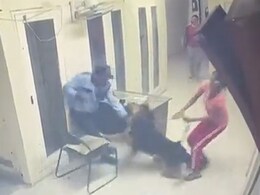 बढ़ते जा रहे हैं लोगों पर पालतू कुत्तों के हमले, अब ग्रेटर नोएडा में सिक्योरिटी गार्ड को काटा बढ़ते जा रहे हैं लोगों पर पालतू कुत्तों के हमले, अब ग्रेटर नोएडा में सिक्योरिटी गार्ड को काटा