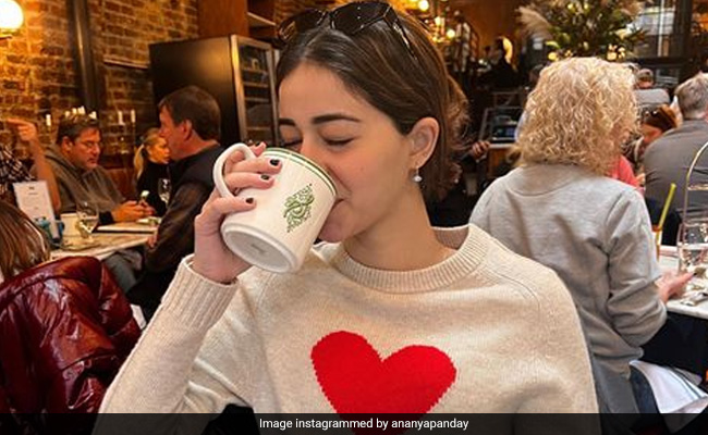 When In New York, Do As Ananya Panday Does - See Her "48 Hours" Album