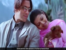 जिनकी खातिर 'तेरे नाम' में दीवाने हो गए थे सलमान, अब ऐसी दिखती है 'राधे' की 'निर्जला', पहचानना है मुश्किल जिनकी खातिर 'तेरे नाम' में दीवाने हो गए थे सलमान, अब ऐसी दिखती है 'राधे' की 'निर्जला', पहचानना है मुश्किल