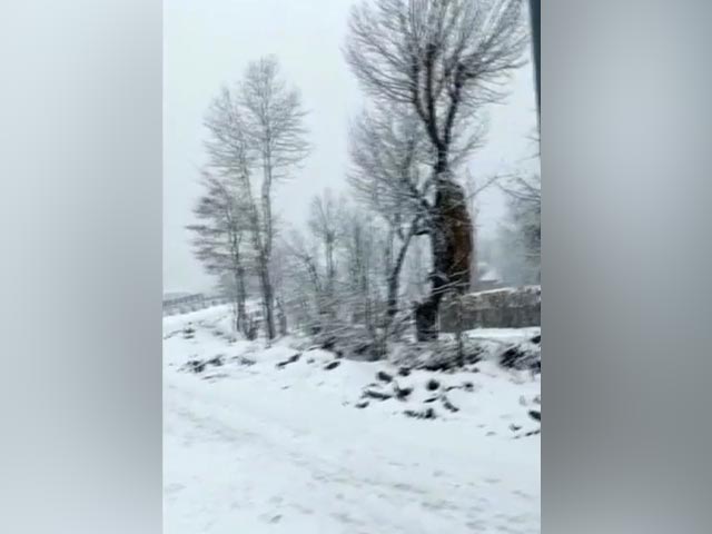 जम्मू-कश्मीर : कुपवाड़ा के माछिल सेक्टर में बर्फबारी 