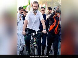 Rahul Gandhi Rides Bicycle During Bharat Jodo Yatra In Madhya Pradesh's Indore Rahul Gandhi Rides Bicycle During Bharat Jodo Yatra In Madhya Pradesh's Indore