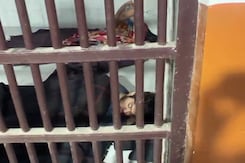 Jail CCTV: Man Who Allegedly Chopped Up Girlfriend's Body Under 24X7 Watch Jail CCTV: Man Who Allegedly Chopped Up Girlfriend's Body Under 24X7 Watch
