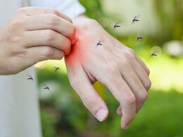 Why Do You Get More Mosquito Bites Than Others? It Could Be Your Diet