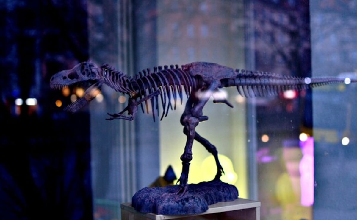 Scientists Discover New Dinosaur With Crocodile Bone In Mouth From Argentina