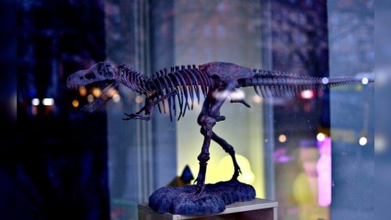 Scientists Discover New Dinosaur With Crocodile Bone In Mouth From Argentina