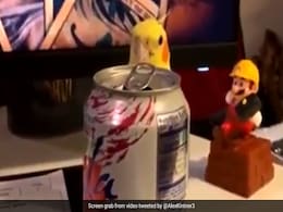 Video Of Duckling Playing Peek-A-Boo With Woman Goes Viral Video Of Duckling Playing Peek-A-Boo With Woman Goes Viral