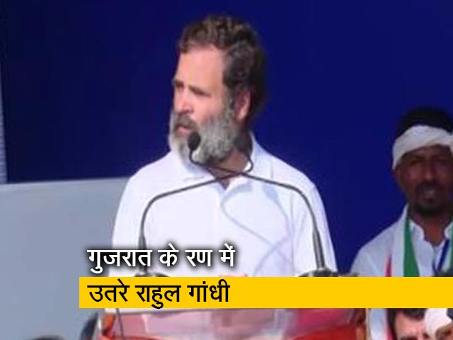 राहुल गांधी प्रचार के लिए पहुंचे गुजरात, बोले - भारत जोड़ो यात्रा में कोई जाति-धर्म नहीं पूछता