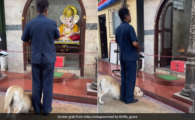 "Watching This On Loop": Video Of Dog Bowing Down Before Ganesha Idol Melts Hearts Online
