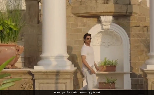 Shah Rukh Khan Shares Video From Birthday Celebrations At Mannat: "Sea Of Love As I See It"