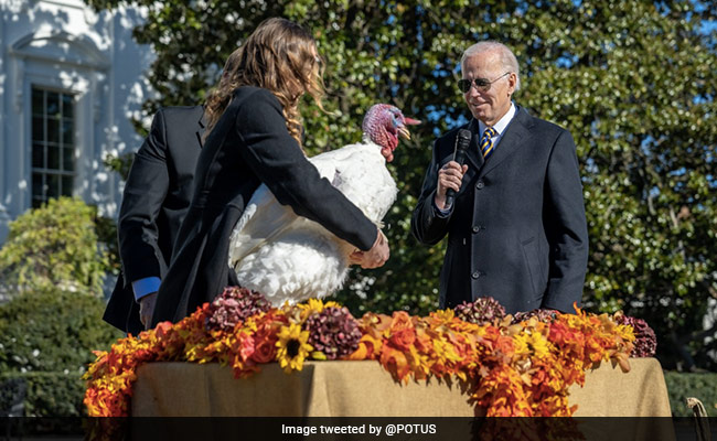 Watch: Joe Biden Pardons Turkeys 'Chocolate' And 'Chip' For Thanksgiving