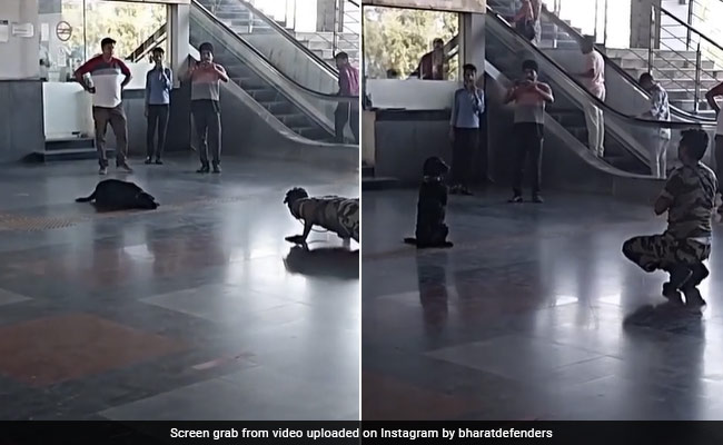 दिल्ली मेट्रो स्टेशन पर CISF जवान के साथ कुत्ते ने किया योगा, देखकर हैरान हुए लोग, Video वायरल