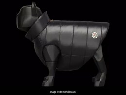Moncler Launches Rs 36,000 Jacket For Dogs, Internet Says It Looks Like "Tyres" Moncler Launches Rs 36,000 Jacket For Dogs, Internet Says It Looks Like "Tyres"