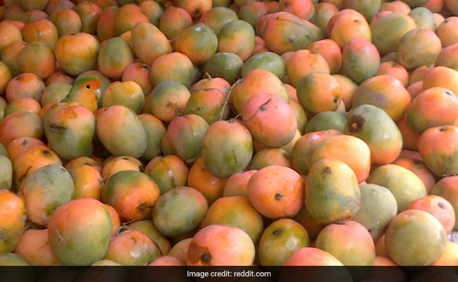 Optical Illusion Asking Users To Find Parrot Hidden Among Mangoes Baffles Internet