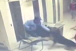 Pet Dog Bites Security Guard In Greater Noida Housing Society Pet Dog Bites Security Guard In Greater Noida Housing Society