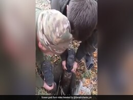 Viral Video: Ukrainian Soldiers Rescue Dog From Deep Pit, Internet Expresses Gratitude Viral Video: Ukrainian Soldiers Rescue Dog From Deep Pit, Internet Expresses Gratitude