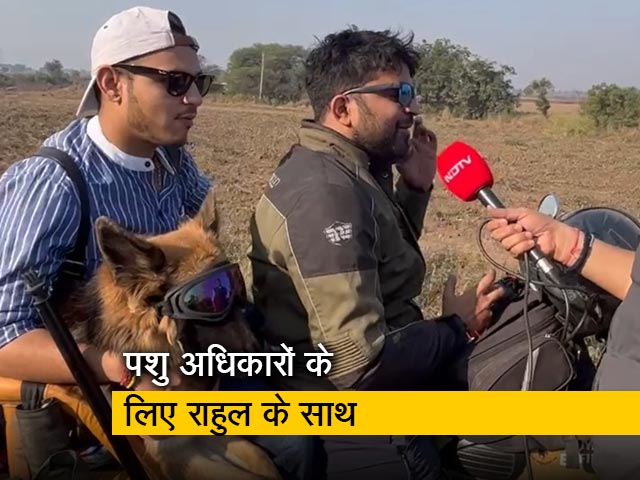 राहुल गांधी की भारत जोड़ो यात्रा : जर्मन शेफर्ड के साथ पशु अधिकारों की बात करने पहुंचे रजत