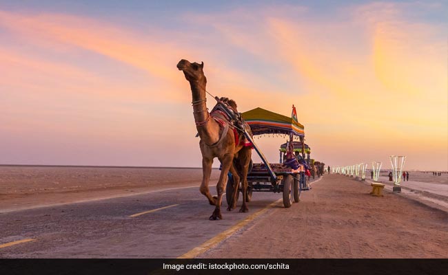 India's G20 Presidency: Gujarat's Rann of Kutch To Host First Tourism Meet