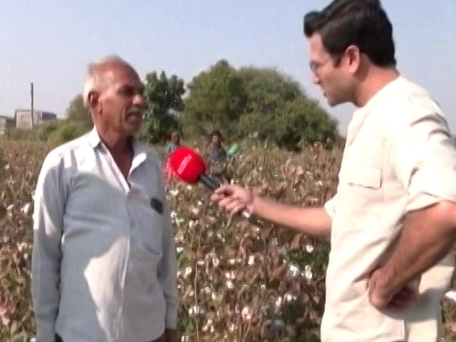 Gujarat Votes: Ground Report From The Heart Of Saurashtra