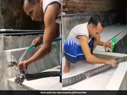 किंग कोबरा को साबुन लगाकर नहला रहा था शख्स, अचानक फैला दिया फन, फिर जो हुआ, नहीं होगा यकीन किंग कोबरा को साबुन लगाकर नहला रहा था शख्स, अचानक फैला दिया फन, फिर जो हुआ, नहीं होगा यकीन