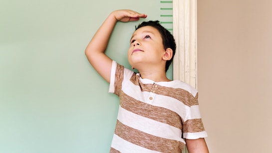 बच्चे की हाइट रुक गई है तो खिलाना शुरू कर दीजिए ये 5 चीजें, लंबाई बढ़ने में  मिलेगी मदद | 5 Height increasing foods for children, bachho ki lambai kaise  badhegi