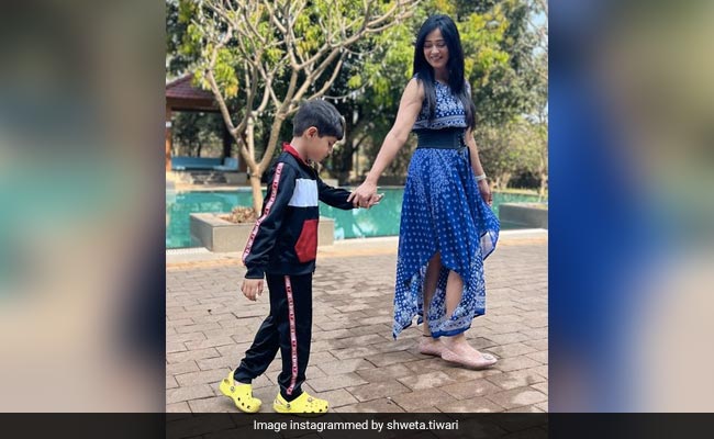 Inside Shweta Tiwari's Son Reyansh's 6th Birthday Celebrations: "Best Holistay," She Writes