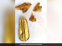 Mummies With Golden Tongues Discovered In Egypt Mummies With Golden Tongues Discovered In Egypt