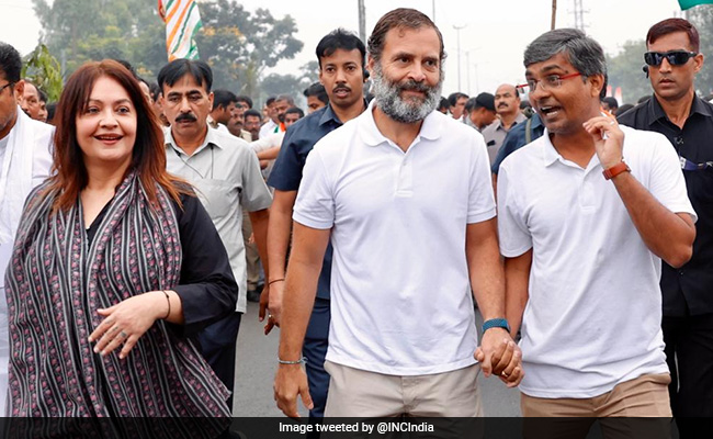 राहुल गांधी के साथ 'भारत जोड़ो यात्रा' में शामिल हुईं पूजा भट्ट, साथ चलीं पैदल