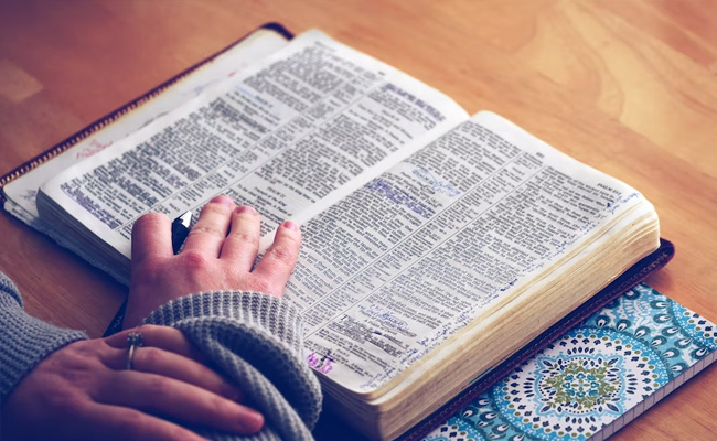 'Delulu', 'Lewk', 'Skibidi' Among 6,000 Words Added To Cambridge Dictionary