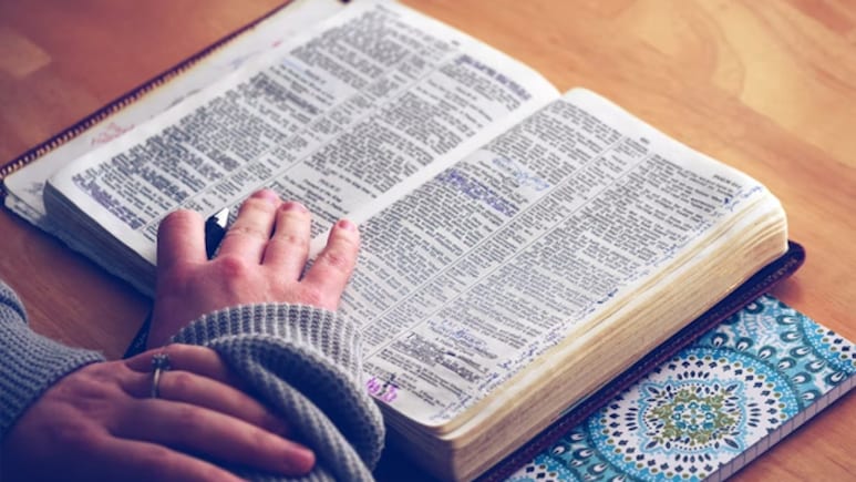 'Delulu', 'Lewk', 'Skibidi' Among 6,000 Words Added To Cambridge Dictionary