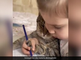 "What A Patient Kitty'': Girl Teaches Her Pet Cat How to Colour, Video Too Cute to Miss "What A Patient Kitty'': Girl Teaches Her Pet Cat How to Colour, Video Too Cute to Miss
