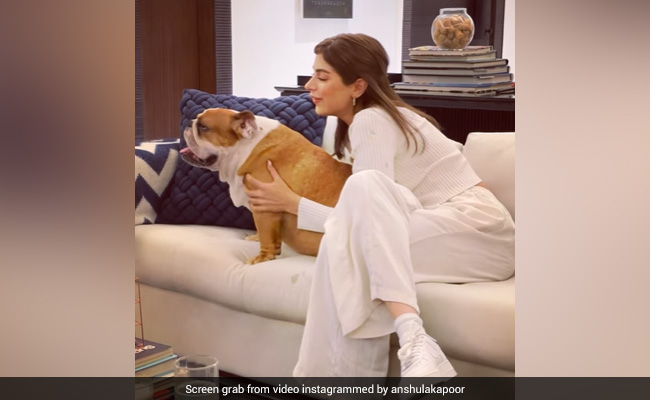 Birthday Girl Khushi Kapoor Is Anshula's Pet Dog Max's Favourite. Shanaya Reacts