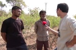 Despite Alternatives, BJP Ends Up Winning: Gujarat Cotton Farmers Despite Alternatives, BJP Ends Up Winning: Gujarat Cotton Farmers