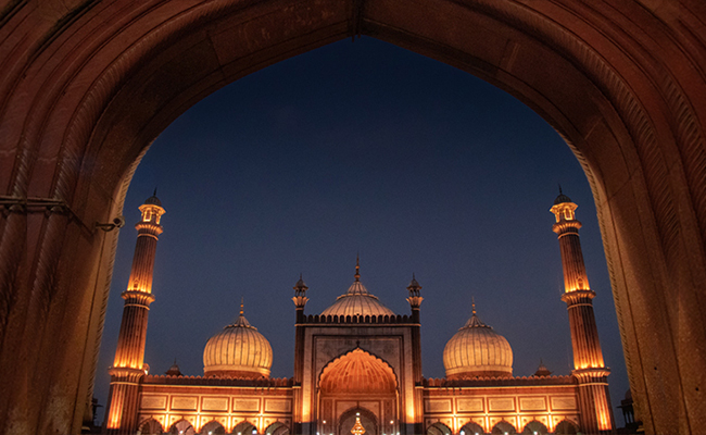 Delhi's Jama Masjid Withdraws Ban On Girls' Entry On Lt Governor's Request