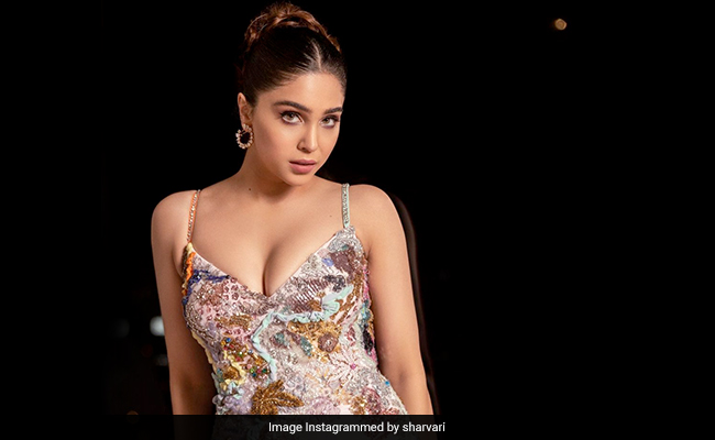 स्टाइल और ग्लैमर में कैटरीना कैफ से कम नहीं हैं उनके देवर सनी कौशल की गर्लफ्रेंड, इन 5 PHOTOS को देख कर आप मान लेंगे