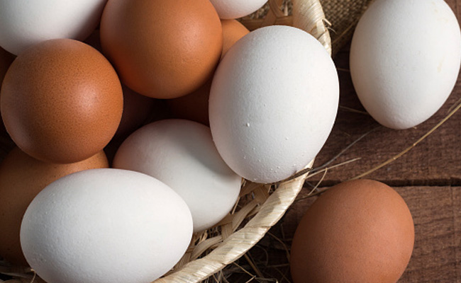 Eggs are a staple in most of our diets, watch out for these myths related to it