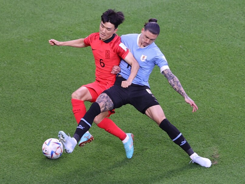 FIFA World Cup 2022, Uruguay vs South Korea Live Score: Asian Giants Aim For Good Start