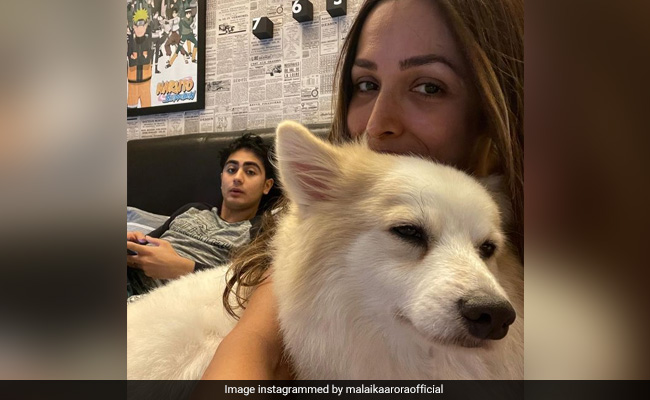 Malaika Arora's Adorable Wish For Son Arhaan Khan, 20 Today